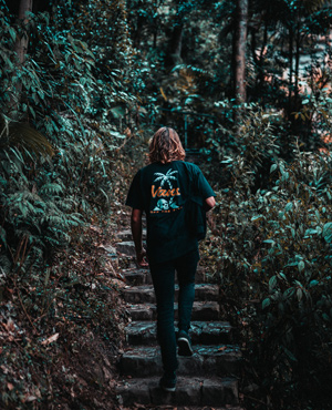 Springbrook National Park treck