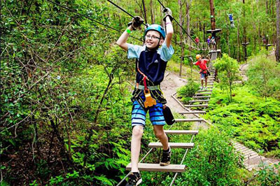 Treetop challenge high ropes course